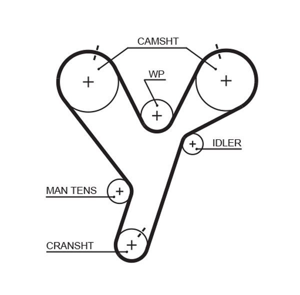 GATES Timing Belt Article number: 5446XS cheaply