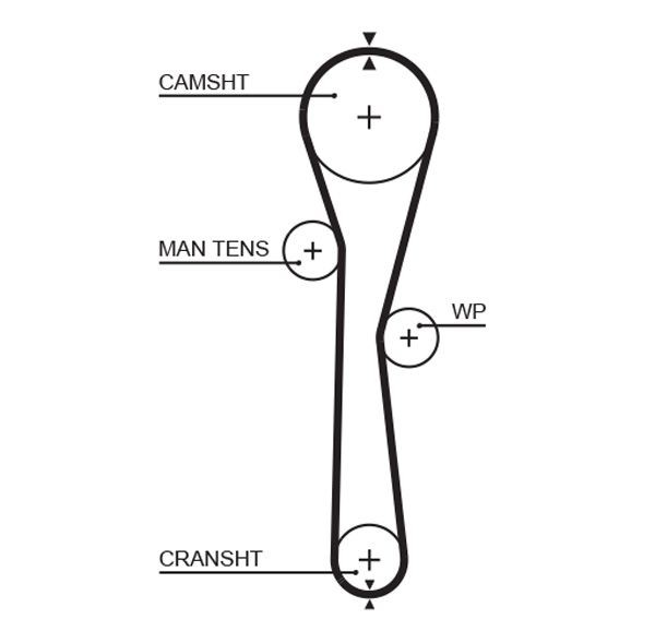 GATES Timing Belt Article number: 5577XS cheaply