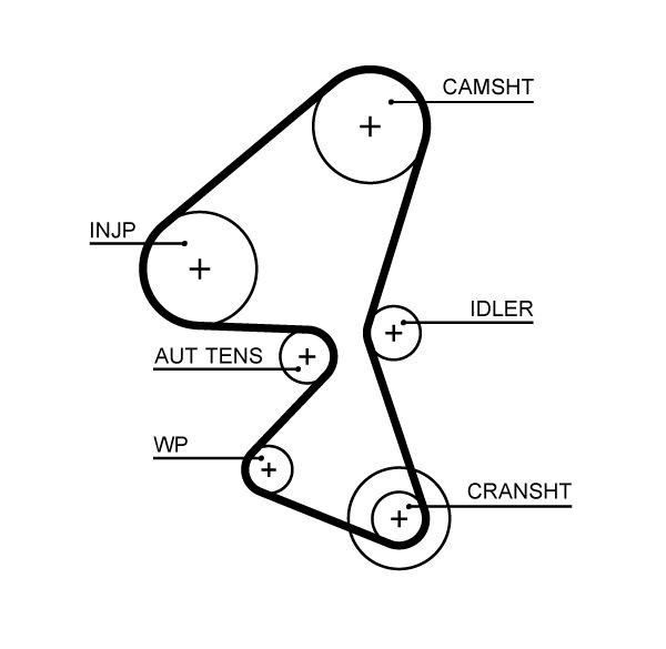 GATES Timing Belt Article number: 5656XS cheaply