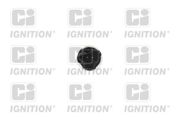 QUINTON HAZELL Control Switch, cruise control Article number: XBLS292 cheaply