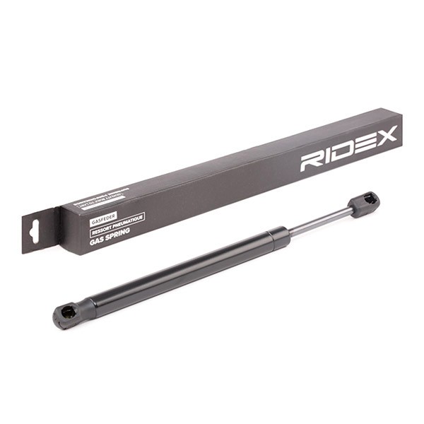 RIDEX Bagklapsdæmper Varenummer: 219G0795 billige