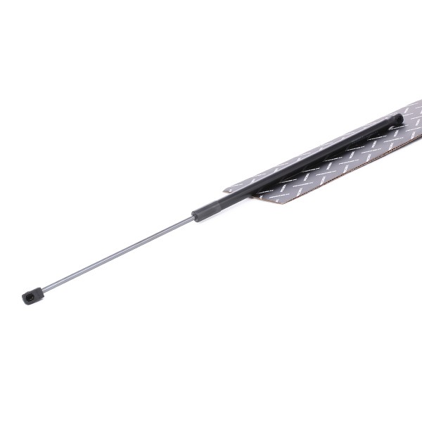 RIDEX Bagklapsdæmper Varenummer: 219G0808 billige