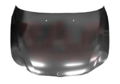 VAN WEZEL Motorhjelm Varenummer: 0655660 billige