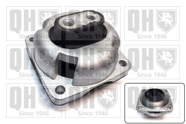 QUINTON HAZELL Engine mount Article number: EM4769 cheaply