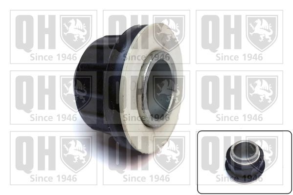 QUINTON HAZELL Trailing arm / Suspension arm bush Article number: EMS8675 cheaply