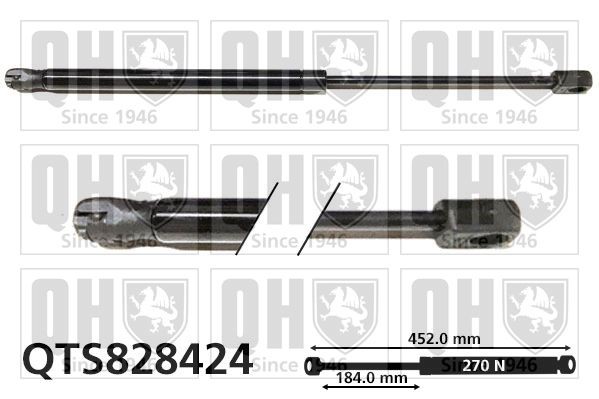 QUINTON HAZELL Tailgate strut Article number: QTS828424 cheaply