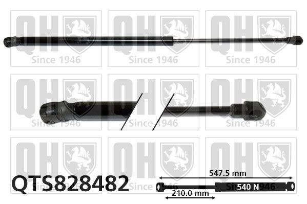 QUINTON HAZELL Tailgate strut Article number: QTS828482 cheaply