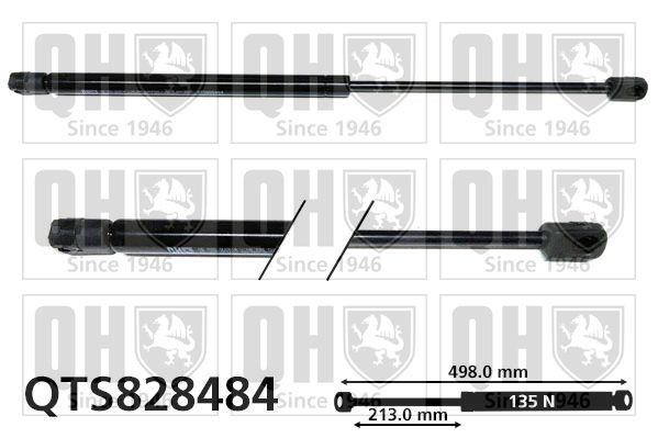 QUINTON HAZELL Gas Spring, rear windscreen Article number: QTS828484 cheaply