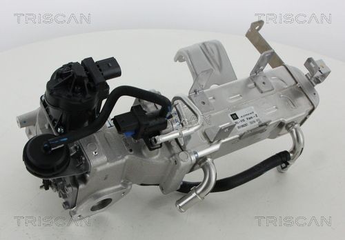 TRISCAN EGR valve Article number: 8813 21010 cheaply
