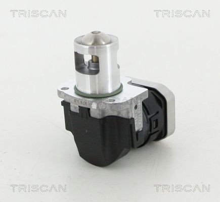 TRISCAN EGR-klapp Artikli number: 8813 23025 soodsalt