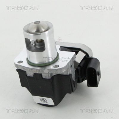 TRISCAN EGR valve Article number: 8813 23026 cheaply