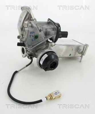 TRISCAN EGR valve Article number: 8813 29068 cheaply