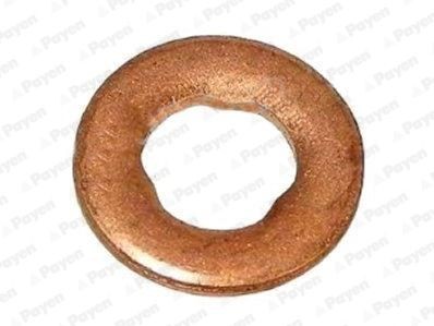 PAYEN KG5339 Kaitseseib, sissepritsesüsteem 300 3.0 V6 CRD 211 HP Diisel