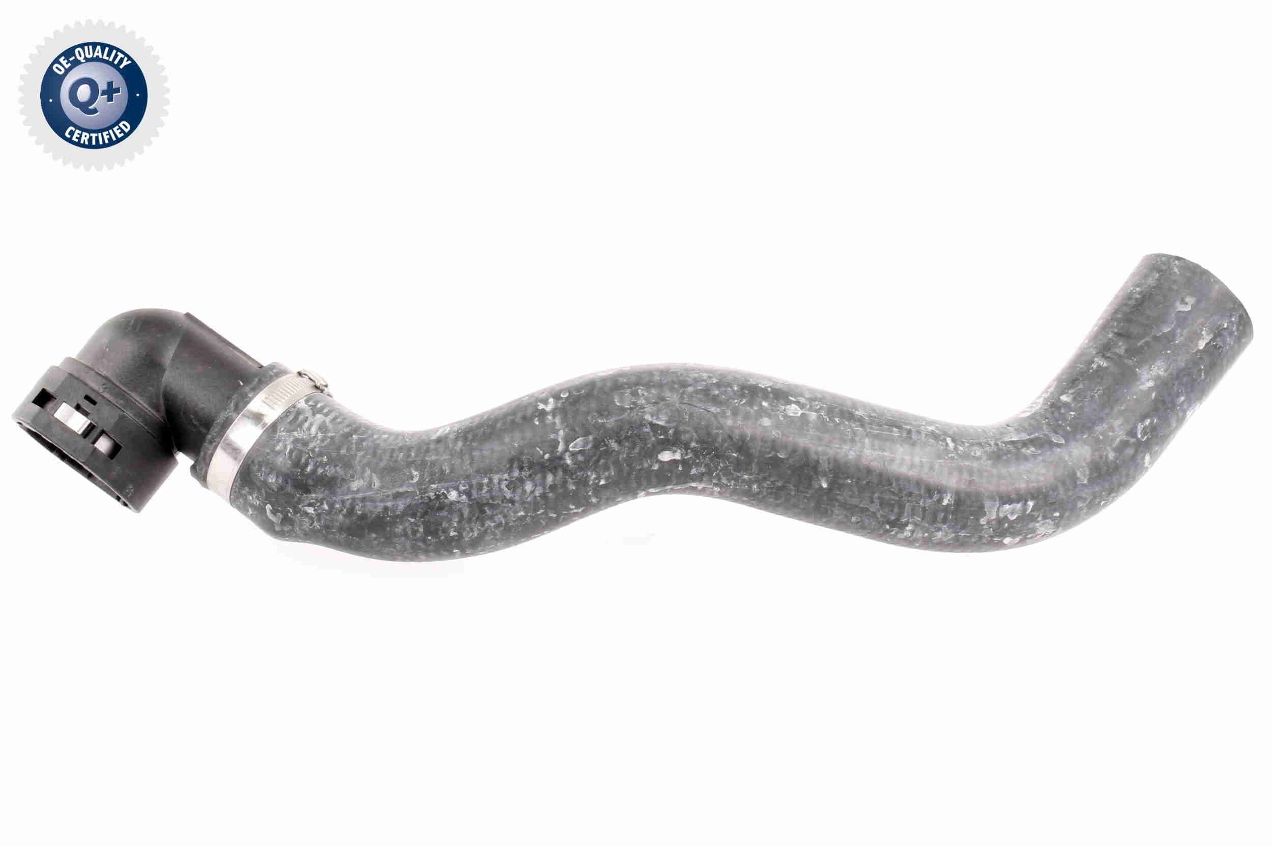 VAICO Radiator hose Article number: V24-0876 cheaply