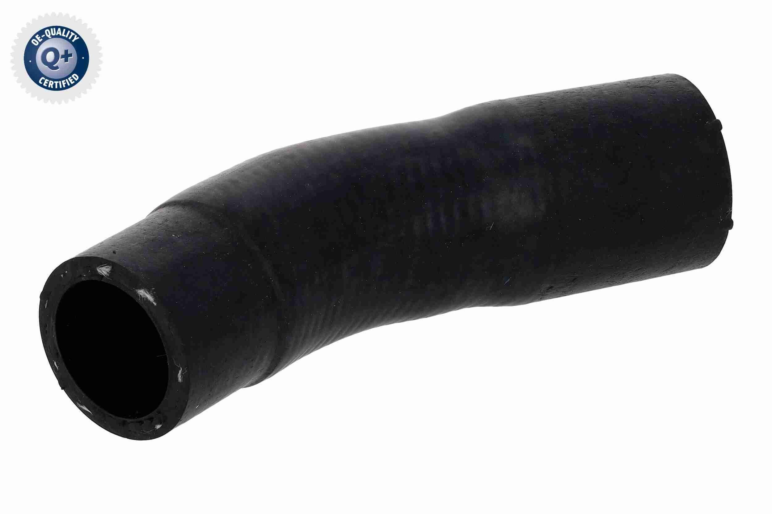 VAICO Radiator hose Article number: V40-1173 cheaply