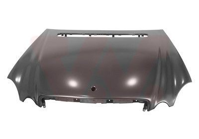 VAN WEZEL Bonnet Article number: 3041660 cheaply