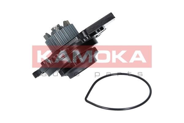KAMOKA Water pump Article number: T0031 cheaply