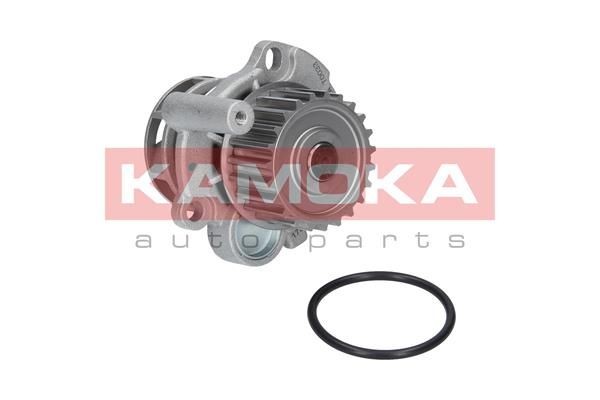 KAMOKA Vandpumpe Varenummer: T0033 billige