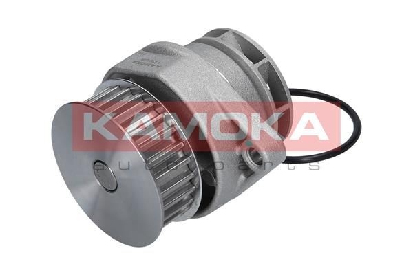 KAMOKA Veepump Artikli number: T0037 soodsalt