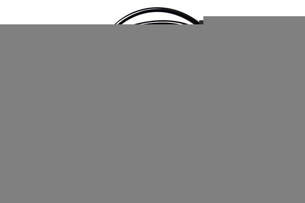 DENCKERMANN ABS sensor Article number: B180051 cheaply
