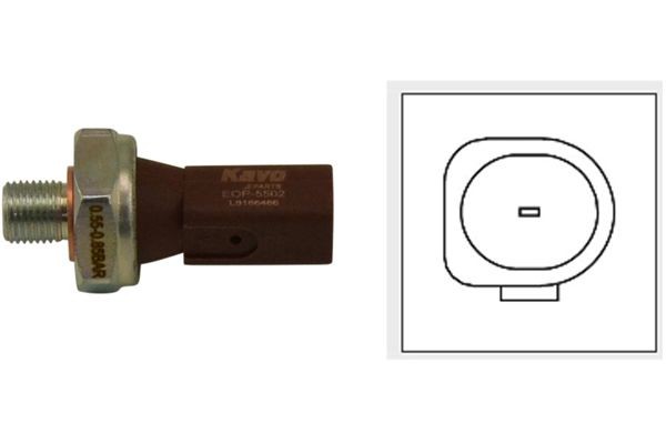 KAVO PARTS Stikalo pritiska olja številka artikla: EOP-5502 poceni