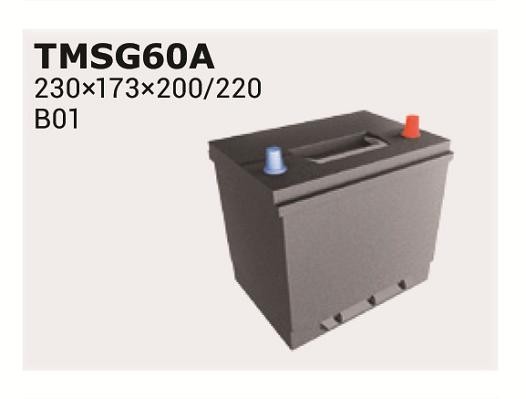 IPSA Battery Article number: TMSG60A cheaply