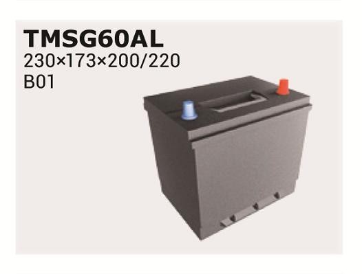 IPSA Batteria Numero articolo: TMSG60AL poco costoso
