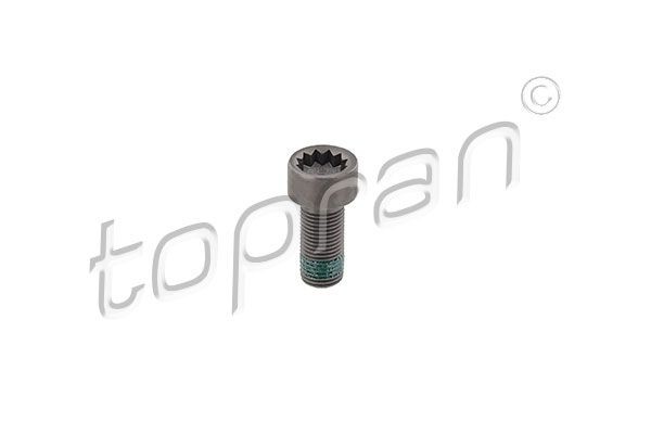 TOPRAN 117 243 Svinghjulsskrue PASSAT 1.8 Syncro/4motion 125 HK Benzin 2001