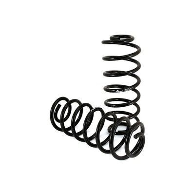 Arnott Suspension kit, coil springs Article number: C-2137 cheaply