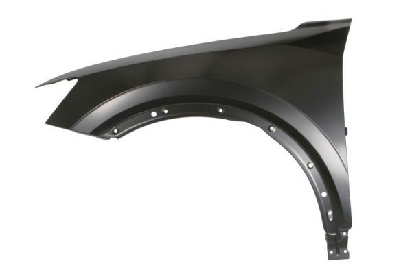 BLIC Wing fender Article number: 6504-04-0046311P cheaply