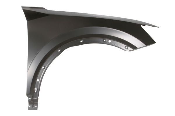 BLIC Wing fender Article number: 6504-04-0046312P cheaply
