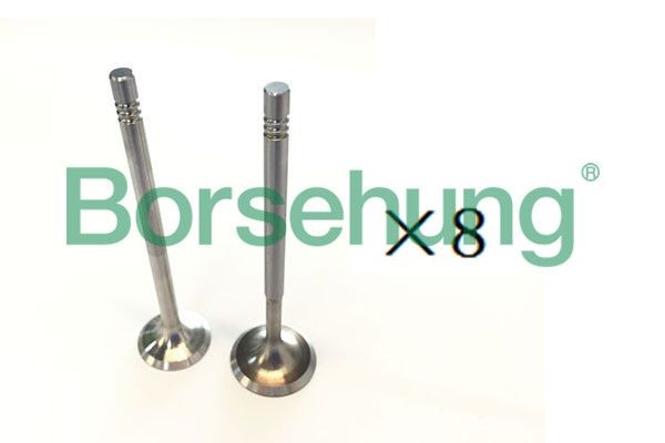 Borsehung Udstødningsventil Varenummer: B18189 billige