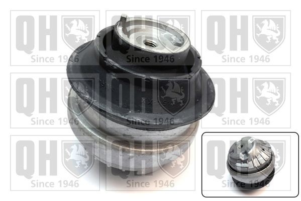 QUINTON HAZELL Engine mount Article number: EM4799 cheaply