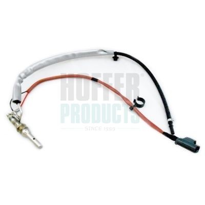 HOFFER Injection Unit, soot / particulate filter regeneration Article number: H1953 cheaply