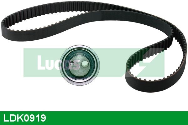 LUCAS Timing belt kit Article number: LDK0919 cheaply