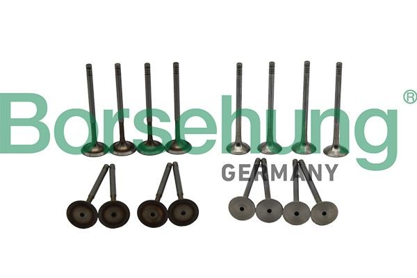 Borsehung Valve unit, inlet/outlet valve Article number: B18138 cheaply