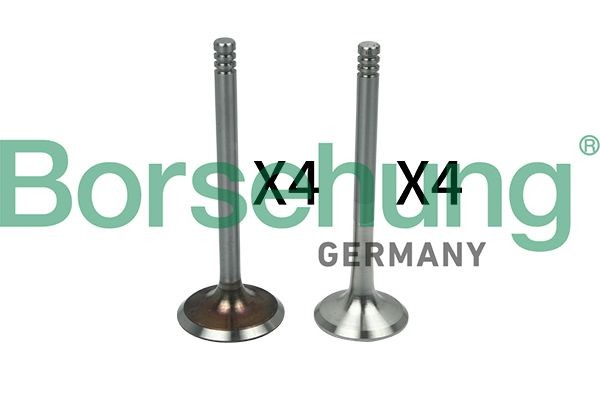 Borsehung Valve unit, inlet/outlet valve Article number: B18641 cheaply