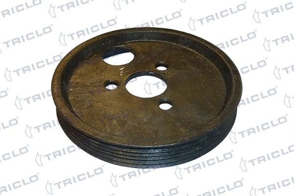 TRICLO Pulley, power steering pump Article number: 427015 cheaply