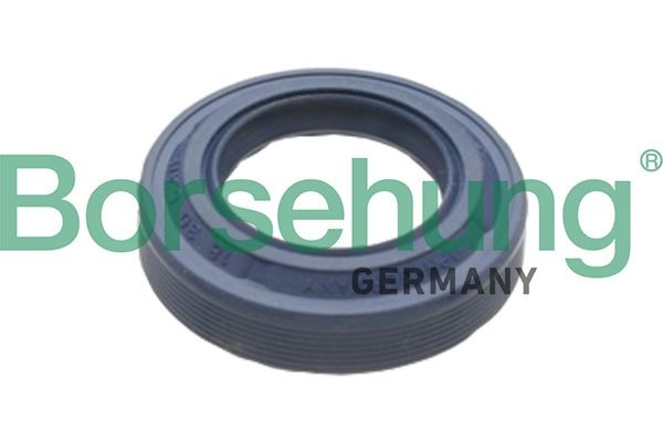 Borsehung Shaft Seal, differential Article number: B17828 cheaply