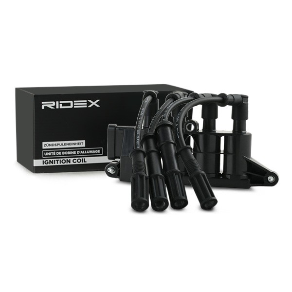 RIDEX Ignition coil Article number: 689C0290 cheaply