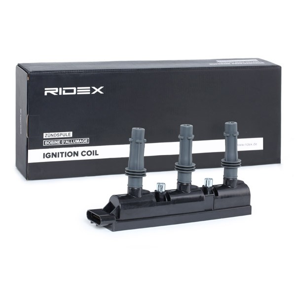 RIDEX Ignition coil Article number: 689C0304 cheaply