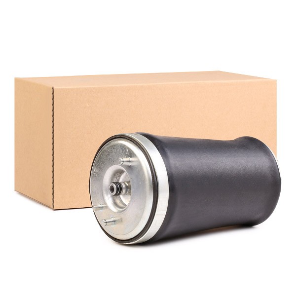 RIDEX Luftfjeder Varenummer: 4119A0012 billige