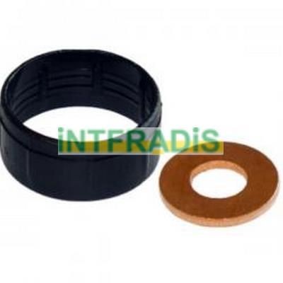 INTFRADIS Seal Kit, injector nozzle Article number: 10125 cheaply