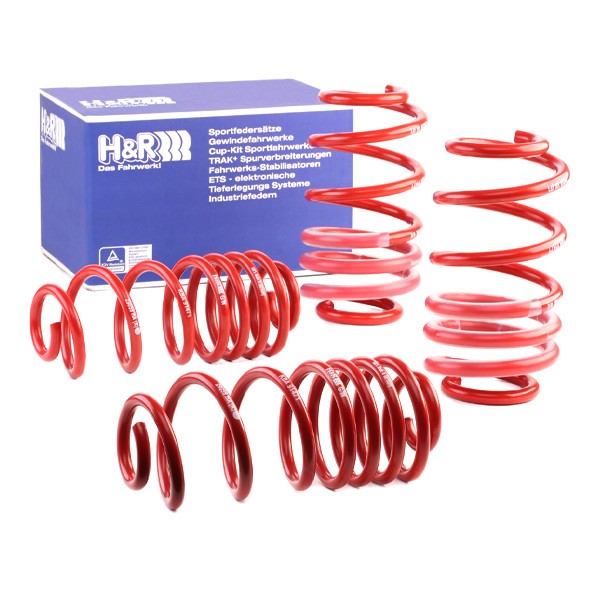 H&R Lowering springs Article number: 29059-2 cheaply
