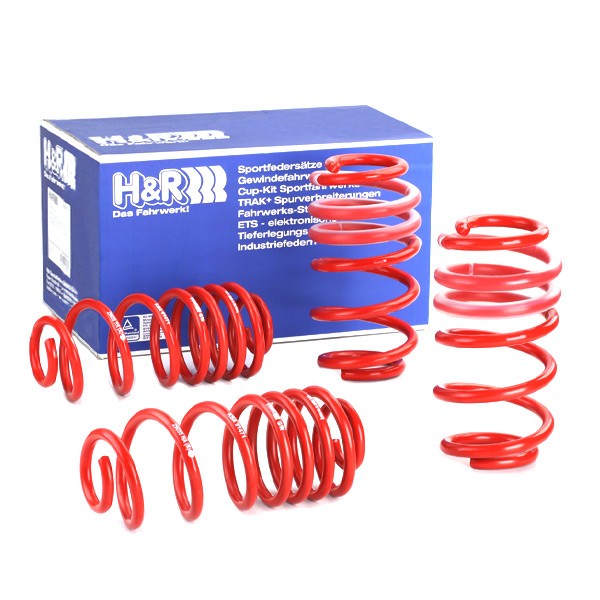 H&R Lowering springs Article number: 29059-4 cheaply