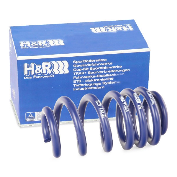 H&R Lowering springs Article number: 29270HA2 cheaply