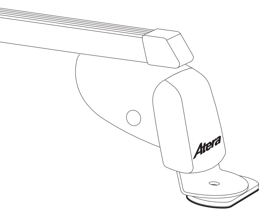 ATERA 044163 Tagbøjler KANGOO 1.6 (FC0R) 110 HK Benzin/Ethanol