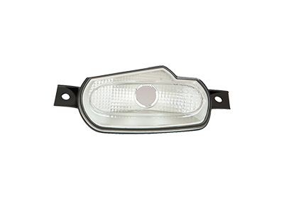 VAN WEZEL Side indicator Article number: 2916905 cheaply