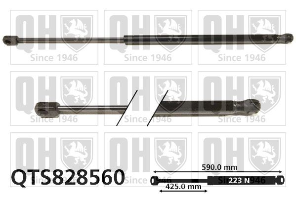 QUINTON HAZELL Tailgate strut Article number: QTS828560 cheaply