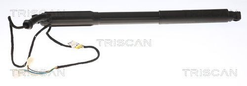 TRISCAN Bagklapsdæmper Varenummer: 8710 11304 billige